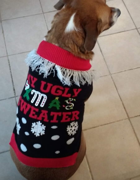 Meet your Posher, Kimberlee - Picture 4 of 4